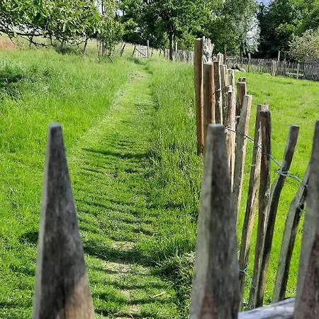 Luxuszelt Glamping Zonnebloem - Back-to-nature