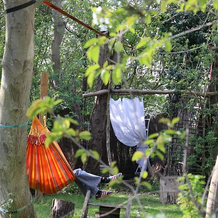 Luxuszelt Glamping Zonnebloem - Back-to-nature *