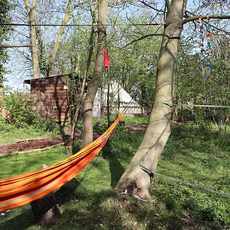 Luxuszelt Glamping Zonnebloem - Back-to-nature Herzele