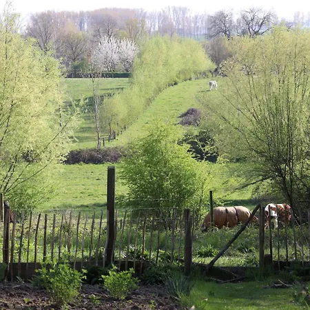 Glamping Zonnebloem - Back-to-nature