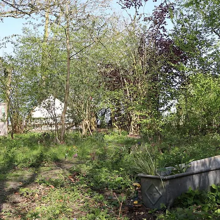 Glamping Zonnebloem - Back-to-nature Luxuszelt